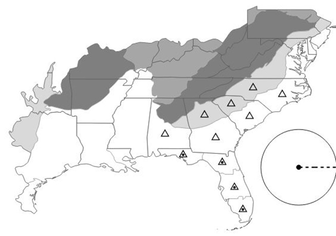 The range of Cyperus metzii